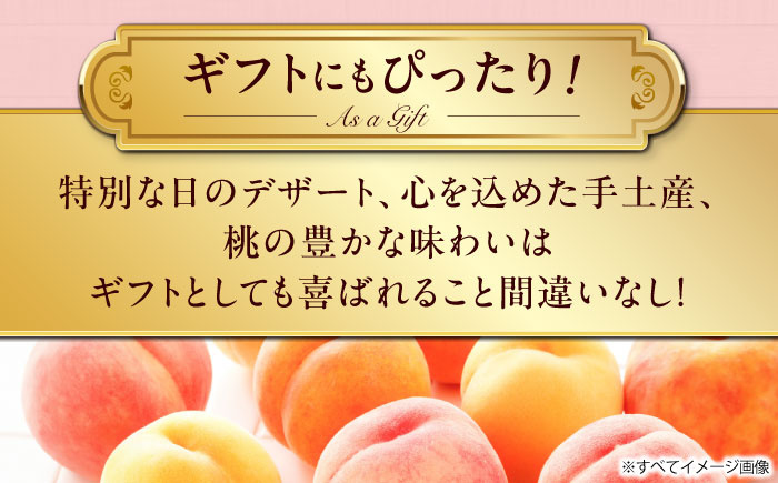 【先行予約】【7月中旬から順次発送】桃果樹園からの恵み！あまい香りとあふれる果汁！厳選の桃9〜13玉入り 愛媛県大洲市/幸野観光なし園［AGBD006］