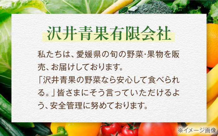 【先行予約】【2026年9月中旬より順次発送】 訳あり シャインマスカット 約2kg（3～5房）シャインマスカット ブドウ 葡萄 果物 フルーツ 愛媛県大洲市/沢井青果有限会社 訳アリ ワケあり わけあり 不揃い [AGBN056]
