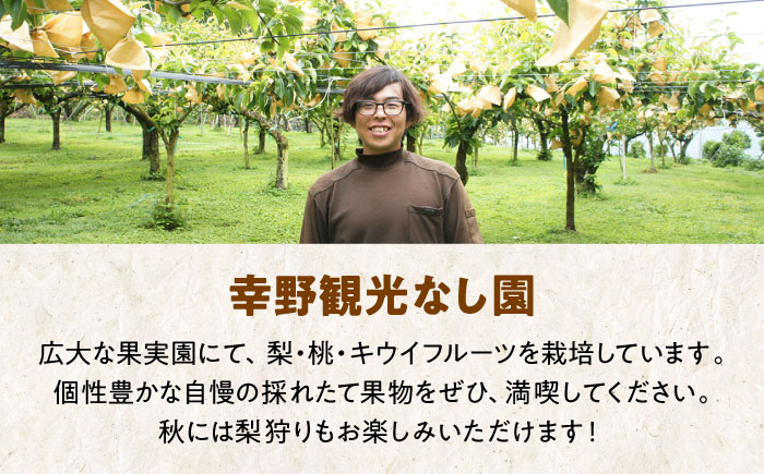 【先行予約】【2025年1月中旬から順次発送】生産量日本一！愛媛県産 キウイフルーツ（24個から27個入り）　愛媛県大洲市/幸野観光なし園 [AGBD004]キウイ フルーツ かき氷 果物 スムージー おやつ ジュース キウイフルーツ ヨーグルト 手作りスイーツ お菓子作り デザート