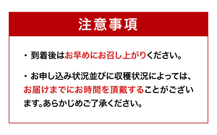 いちご・甘平 春を呼ぶ♪定期便【先行予約】【全2回定期便】 いちご(紅ほっぺ)24粒・甘平2.5kg(Lから4Lサイズ混合) | 先行予約 フルーツ定期便 果物定期便 みかん ミカン かんぺい 甘平 いちご 苺 果物 くだもの フルーツ 愛媛県産 大洲市産 産地直送 おすすめ 人気 お取り寄せ 送料無料 愛媛県大洲市/有限会社西山青果 [AGAR020]