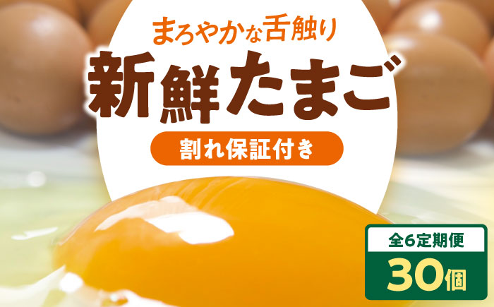 【全6回定期便】平飼い 海草たまご 3パック（30個入り）割れ保証あり 愛媛県大洲市/和田養鶏場 卵 たまご 鶏卵 卵料理 玉子 [AGDQ006]