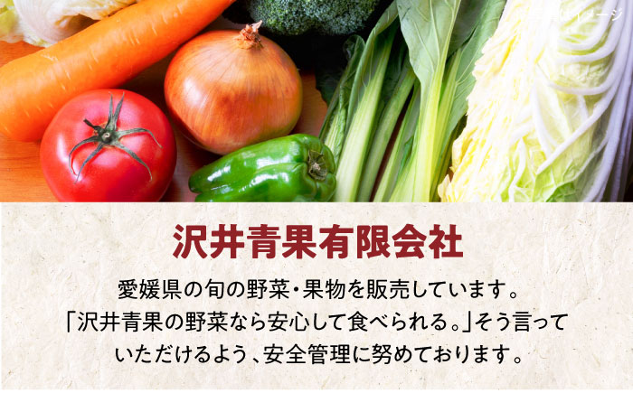 【先行予約】【11月初旬より順次発送】寒さを忘れる美味しいお鍋！肱川ゆず紀行 特製ゆずポン酢と新鮮野菜の鍋セット（3〜4人前）　愛媛県大洲市/沢井青果有限会社 [AGBN028]鍋パーティ しゃぶしゃぶ もつ鍋 ごはん 御飯 水炊き 自炊 料理 白菜 寄せ鍋 野菜 調味料 簡単