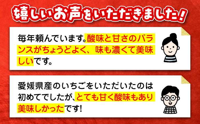 【先行予約】【2025年1月初旬より順次発送】ほっぺが落ちるおいしさ！紅ほっぺ（Mから3L）×8パック 約2000g　愛媛県大洲市/沢井青果有限会社 [AGBN027]苺 イチゴ スイーツ ケーキ かき氷 いちごパフェ ストロベリー おやつ デザート フルーツサンド いちご大福 手作り 甘い 果物