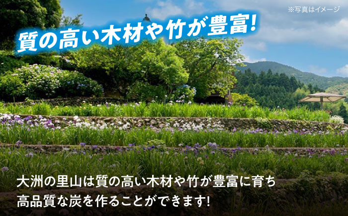 置くだけで空気清浄機！使って森林保全！大洲の豊かな自然から生まれる『ますじの炭』竹炭4kg　愛媛県大洲市/工房きこり [AGCV002]