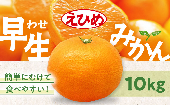 【先行予約】【11月中旬から順次発送】温州みかん（早生） 10kg （S～Lサイズ混合）愛媛県大洲市/永沼農園 [AGAW017]温州ミカン うんしゅうみかん  みかん  フルーツ ミカン 果物 くだもの 愛媛みかん デザート おやつ 冬果物 青果