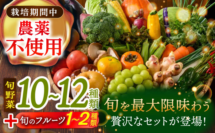 【全6回定期便】【シェフの目線】栽培期間中農薬不使用！旬のお野菜セット×もぎたてフルーツセット　愛媛県大洲市/有限会社ヒロファミリーフーズ [AGBX007]野菜 サラダ カレー トマト 料理  きゅうり 鍋 とうもろこし 果物 ミニトマト  健康 和食 洋食 中華 産地直送 国産 安心安全 JAS認定 有機無農薬 有機栽培 減農薬栽培 有機JAS オーガニック