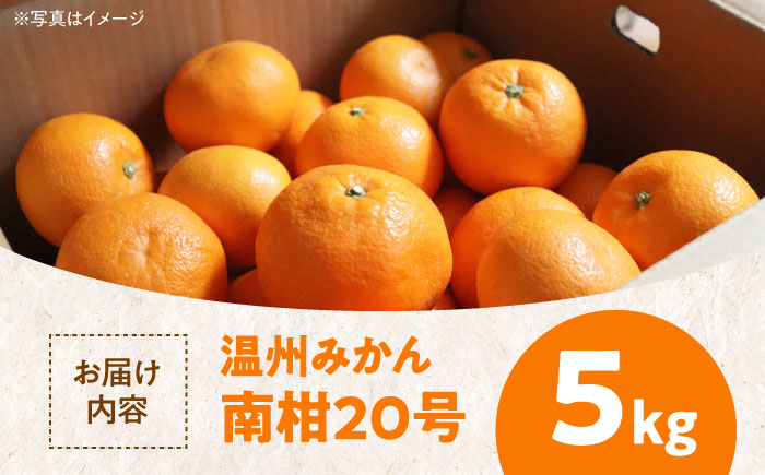 【先行予約】【12月上旬から順次発送】本場ならではの品質！柑橘王国愛媛県産温州みかん 南柑20号 5kg　愛媛県大洲市/有限会社カーム/カームシトラス [AGBW001]みかん オレンジ フルーツ ミカン 果物 愛媛みかん こたつ みきゃん スムージー デザート おやつ ヨーグルト 料理