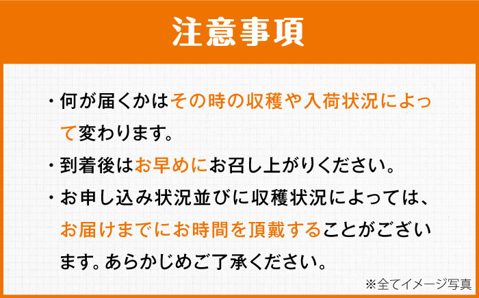 【先行予約】【3月頃発送】柑橘おまかせセット 愛媛県大洲市/沢井青果有限会社 [AGBN053]