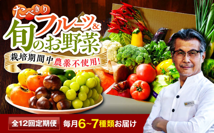 【全12回定期便】　【シェフの目線】 野菜×フルーツセット 6から7種　単身・二人暮らし用セット　愛媛県大洲市/有限会社ヒロファミリーフーズ 野菜 果物 やさい 少量セット 食べきり [AGBX050]