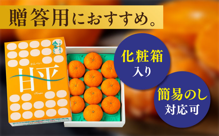 【先行予約】【2025年2月上旬から順次発送】【期間・数量限定】愛媛限定栽培！ 甘平（かんぺい）2L〜3L玉サイズ 約3kg箱入（10玉〜12玉）甘平 みかん 愛媛みかん 柑橘 愛媛県大洲市/愛媛たいき農業協同組合[AGAO010]