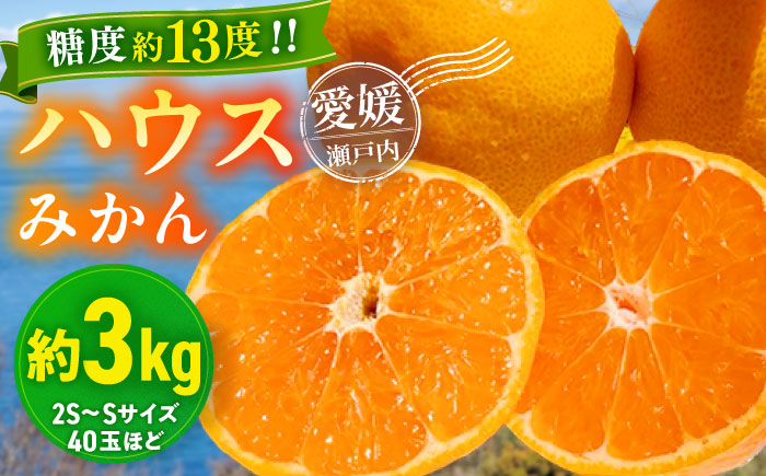 【先行予約】【夏限定】愛媛県産 峯田農園のあま〜い「ハウスみかん」3kg　愛媛県大洲市/峯田農園 [AGBT002]みかん オレンジ フルーツ ミカン 果物 かき氷 みかんジュース 愛媛みかん こたつ みきゃん スムージー デザート おやつ ヨーグルト 調味料 ドレッシング 隠し味 料理