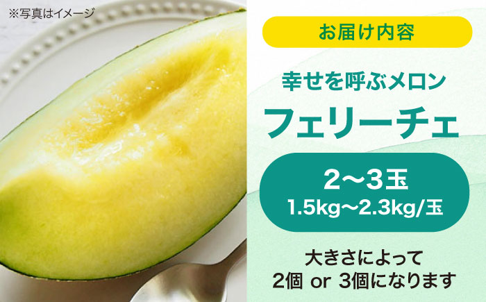 【先行予約】【6月上旬から順次発送】 メロン フェリーチェ 2から3玉 愛媛県大洲市/梶原農園　めろん 果物 フルーツ くだもの 青肉 高級 お取り寄せ　 [AGCX002]