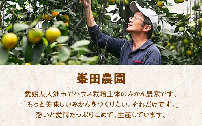 【先行予約】【11月下旬から順次発送】愛媛県産 峯田農園のとろける宝石柑橘「まどんな」Lサイズ 15玉（約3kg）　愛媛県大洲市/峯田農園 [AGBT022]