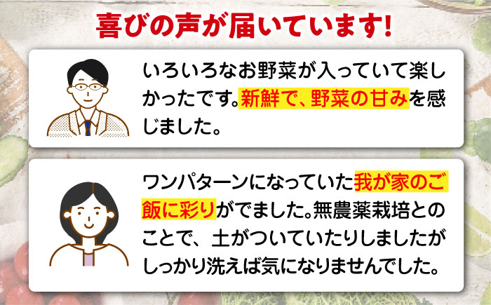 【全3回定期便】【2ヶ月に1回】あったら嬉しい根菜セット♪+おまかせ旬野菜　愛媛県大洲市/有限会社ヒロファミリーフーズ [AGBX041]