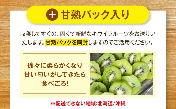 【先行予約】【11月上旬から順次発送】【ご家庭用】キウイフルーツ ヘイワード 18個 甘熟パック入り 愛媛県大洲市/西村農園 キウイ 果物 くだもの フルーツ 訳アリ [AGDC007]