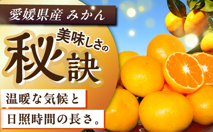 【先行予約】【11月中旬から順次発送】【期間・数量限定】愛媛県産 早生みかん 赤秀5kg箱 果物 フルーツ みかん ミカン 早生みかん 愛媛県大洲市/愛媛たいき農業協同組合[AGAO005]