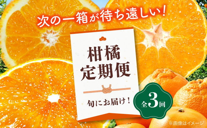 【全3回定期便】大洲の旬果をお届け！柑橘定期便 紅まどんな デコポン 不知火 甘平 みかん ミカン 紅マドンナ フルーツ 愛媛県大洲市/株式会社フジ・アグリフーズ [AGBA015]