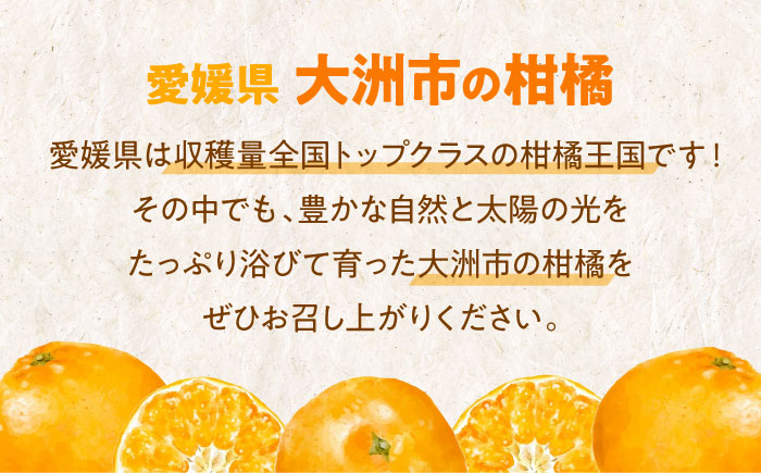 【先行予約】【11月中旬より順次発送】瀬戸内のめぐみたっぷり！温州みかん（S~Lサイズ）5kg　愛媛県大洲市/沢井青果有限会社 [AGBN047]