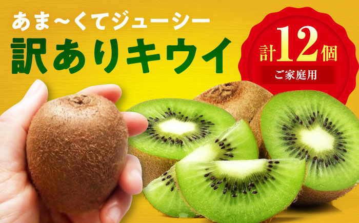 【先行予約】【11月上旬から順次発送】【ご家庭用】キウイフルーツ ヘイワード 10個 甘熟パック入り 愛媛県大洲市/西村農園 キウイ 果物 くだもの フルーツ 訳アリ [AGDC006]