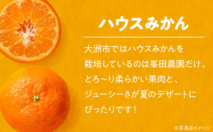 【先行予約】【夏限定】愛媛県産 峯田農園のあま〜い「ハウスみかん」3kg【みきゃん箱入】　愛媛県大洲市/峯田農園 [AGBT003]みかん オレンジ フルーツ ミカン 果物 かき氷 みかんジュース 愛媛みかん こたつ みきゃん スムージー デザート おやつ ヨーグルト 調味料 ドレッシング 隠し味 料理