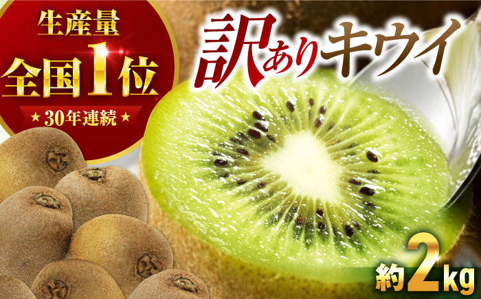訳アリ キウイフルーツ 約2kg　愛媛県大洲市/沢井青果有限会社 訳アリ 訳あり ご家庭用　 [AGBN051]