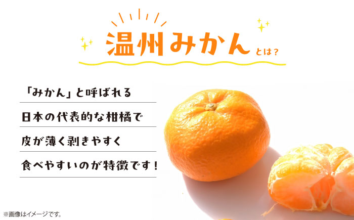 愛媛県産 温州みかんジュース＆まどんなジュース2本セット（720ml×各1本）　愛媛県大洲市/峯田農園 [AGBT025]