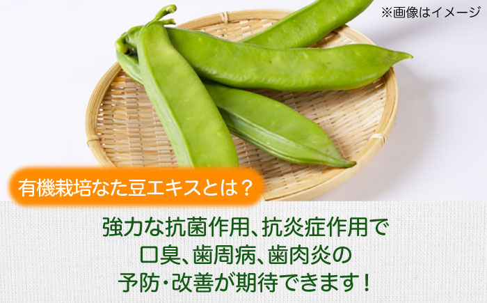 【全6回定期便】自然由来成分でお口スッキリ！なた豆＆柿渋　歯磨き粉　120ｇ×2本セット　ハミガキ粉 歯ブラシ オーラルケア 口腔ケア 歯周病予防 愛媛県大洲市/サンユー商店 [AGCS004]