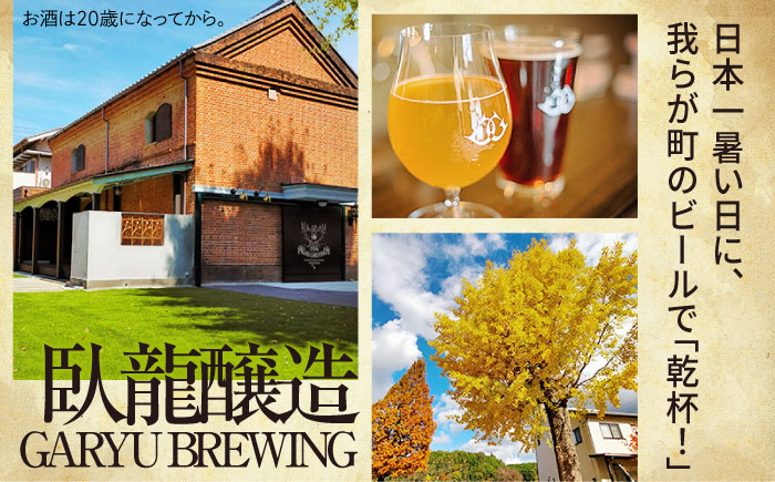 クラフトビール【全3回定期便】飲み比べ6種セット 計6本　愛媛県大洲市/株式会社　アライ [AGAY066]