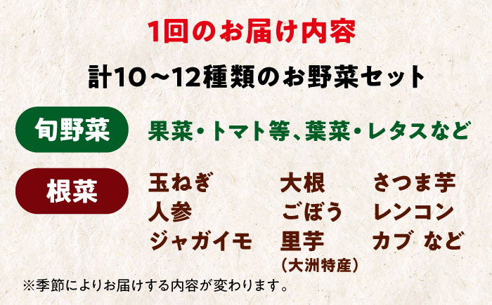 【全12回定期便】【シェフの目線】あったら嬉しい根菜セット×おまかせ旬野菜　愛媛県大洲市/有限会社ヒロファミリーフーズ [AGBX014]野菜 サラダ トマト 料理 大根 鍋 にんじん 果物 芋 さといも じゃがいも さつまいも 健康 和食 洋食 中華 産地直送 国産 安心安全 JAS認定 有機無農薬 有機栽培 減農薬栽培 有機JAS オーガニック