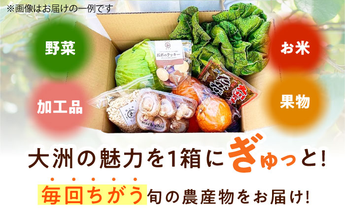 【全6回定期便】生産者の顔が見えるから安心して食べられる！毎回ちがう旬の農産物定期便　愛媛県大洲市/大洲市青年農業者協議会 [AGBL001]サラダ カレー トマト 料理 収穫 ダイエット ヘルシー ブロッコリー きゅうり キャベツ 鍋 健康 とうもろこし 果物 和食 スープ ミニトマト
