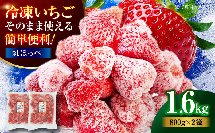 【冷凍】おいしさそのままぎゅっと閉じ込めました！紅ほっぺ800g×2パックセット　愛媛県大洲市/沢井青果有限会社 [AGBN041]苺 イチゴ スイーツ ケーキ かき氷 いちごパフェ ストロベリー おやつ デザート フルーツサンド いちご大福 手作り 甘い 果物