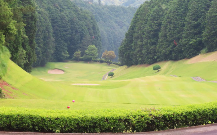 大洲ゴルフ倶楽部 ゴルフプレー利用補助券 1000円券×3枚 愛媛県大洲市/大洲観光株式会社 | ゴルフ場 プレー プレー券 旅行 体験 [AGDI001]