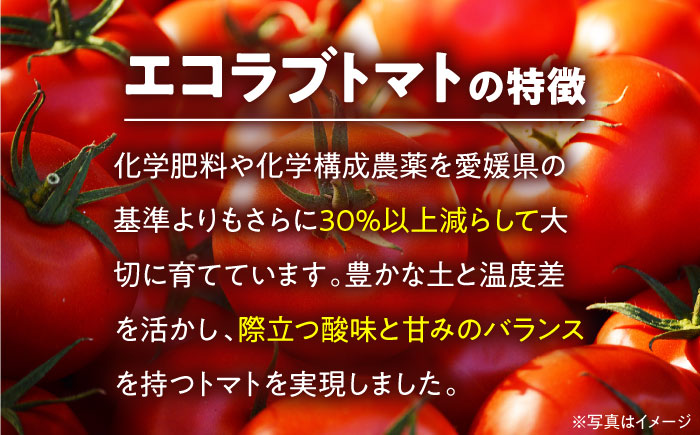 自然な美味しさ、たっぷり味わう。エコラブトマトMから2Lサイズ（20から24玉）約3.5kg　愛媛県大洲市/沢井青果有限会社 [AGBN012]パスタ 野菜 サラダ チーズ リコピン ランチ 夏野菜  とまと カレー トマトソース トマトジュース サンドイッチ トマトラーメン 料理