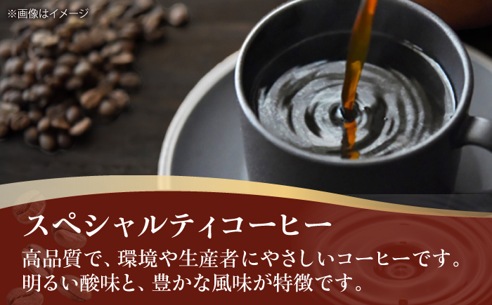 コーヒー豆  スペシャルティコーヒー おすすめ2種セット 各500g 珈琲 コーヒー豆 コーヒー粉 コーヒー ドリップ ドリップ珈琲 飲料 愛媛県大洲市/株式会社日珈 [AGCU028]