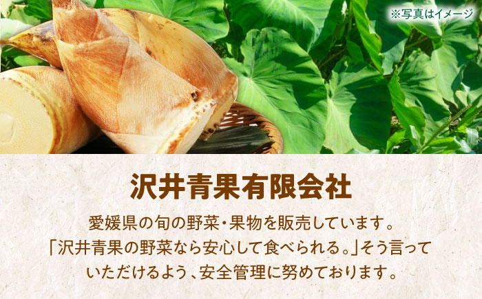 4月28日まで！朝堀りたけのこの水煮（1袋300から350g）5袋セット　愛媛県大洲市/沢井青果有限会社 [AGBN011]筍 タケノコ 竹の子 春 筍ご飯 たけのこご飯 煮物 旬の食材 山菜 筍ごはん メンマ 和食 料理 天ぷら 夕飯  炊き込みご飯 カレー 晩ごはん