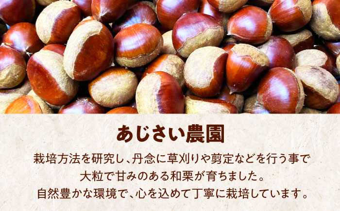 【先行予約】【2026年9月下旬から順次発送】自然な甘みと豊かな香り！愛媛県産高級和栗 大粒生栗 1kg　愛媛県大洲市/あじさい農園 [AGAE009]くり クリ モンブラン マロン 秋の味覚 和菓子 栗ご飯 栗ごはん 栗きんとん ケーキ スイーツ クリ 手作りスイーツ素材 おやつ 材料 