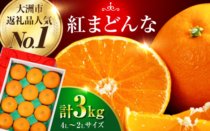  紅まどんな 4L〜2L玉サイズ 約3kg（8玉〜12玉入）【先行予約】【11月下旬から順次発送】化粧箱入 果物 フルーツ みかん ミカン まどんな 愛媛県大洲市/愛媛たいき農業協同組合[AGAO008]