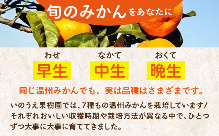 温州みかん 3kg SからLサイズ混合 （20から35個入） 温州みかん みかん 果物 フルーツ 柑橘 愛媛県大洲市/有限会社いのうえ果樹園【AGBV002】