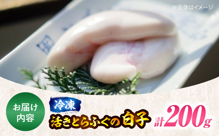 【冷凍】【12月中旬から順次発送】希少！冷凍で届く天然の恵み！活きとらふぐの白子 約200g　愛媛県大洲市/天然活魚　濱屋 [AGBP002]河豚 ふぐ ヒレ酒 てっちり鍋ひれ酒 フグ刺し 唐揚げ ふぐ刺し 料理 白子 コラーゲン 鍋 魚介類 海鮮 新鮮 お刺身