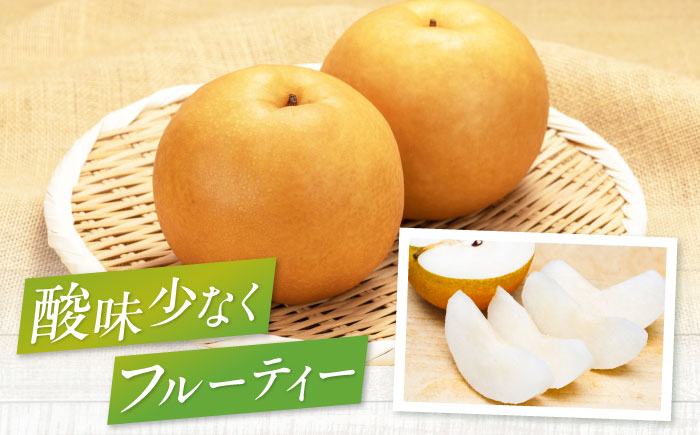 【先行予約】【2025年9月中旬から順次発送】 特選 あきづき 梨2kg（5個から7個入り）愛媛県大洲市/幸野観光なし園  梨 なし ナシ 果物 フルーツ 秋果物[AGBD008]