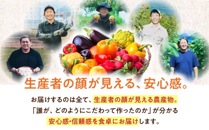 【全6回定期便】生産者の顔が見えるから安心して食べられる！毎回ちがう旬の農産物定期便　愛媛県大洲市/大洲市青年農業者協議会 [AGBL001]サラダ カレー 料理 収穫 ダイエット ヘルシー ブロッコリー きゅうり キャベツ 鍋 健康 とうもろこし 果物 和食 スープ