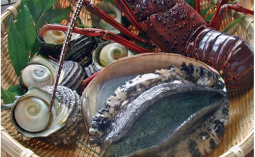 魚のプロが厳選した瀬戸内の旬の味！何が届くのかはお楽しみ♪「天然活魚おまかせセット」約3人前　愛媛県大洲市/天然活魚　濱　屋 [AGBP008]魚介類 魚料理 刺身 パスタ 海 海釣り 料理 海鮮 シーフード 鮮魚 日本酒 ランチ 寿司  海の幸