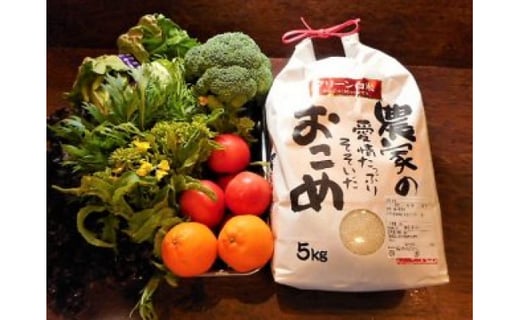 【有機JAS認定オーガニック】シェフの目線「大洲産のお米と季節のお野菜詰合せ」