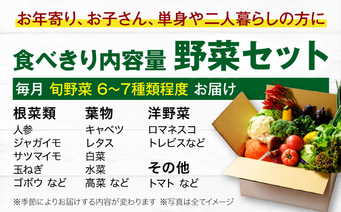 【全12回定期便】 【シェフの目線】　野菜 6から7種　単身・二人暮らし用セット　愛媛県大洲市/有限会社ヒロファミリーフーズ 野菜 やさい 少量セット 食べきり [AGBX046]