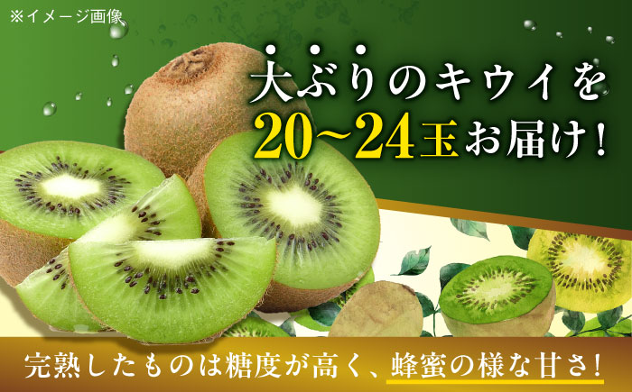 【先行予約】【2025年1月上旬より順次発送】生産量日本一！家族で毎日食べられる！甘熟キウイ　3L〜4Lサイズ（20〜24玉入）　愛媛県大洲市/沢井青果有限会社果物 [AGBN001]キウイ フルーツ かき氷果物 スムージー おやつ ジュース ヨーグルト 手作りスイーツ お菓子作り デザート