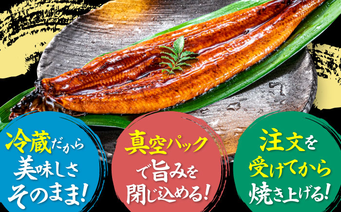 うなぎ 蒲焼き 冷蔵 真空パック 8尾セット（2尾×4箱）愛媛県大洲市/有限会社 樽井旅館 鰻 うなぎ ひつまぶし 土用の丑の日 ウナギ [AGAH012]