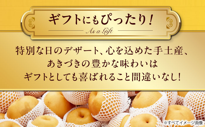 【先行予約】【2025年9月中旬から順次発送】 特選 あきづき 梨2kg（5個から7個入り）愛媛県大洲市/幸野観光なし園  梨 なし ナシ 果物 フルーツ 秋果物[AGBD008]