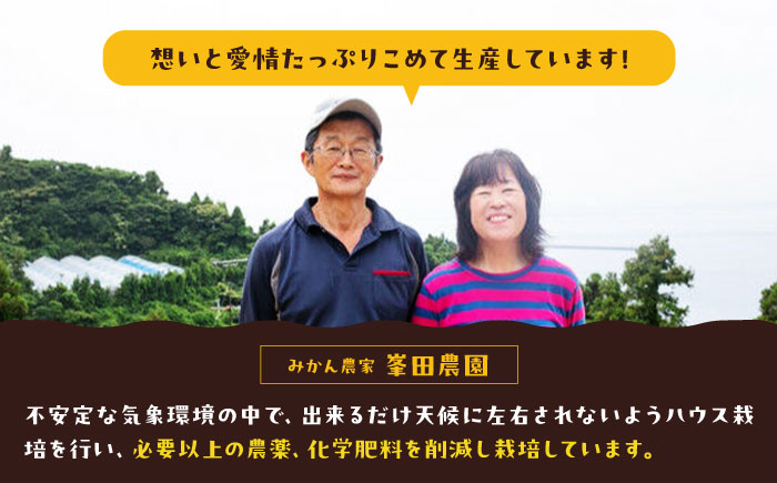 愛媛県産 大人気の手作り「温州みかん」100%ストレートジュース（720ml×2本）　愛媛県大洲市/峯田農園 [AGBT023]