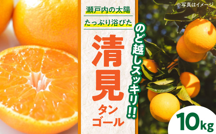 【先行予約】【2026年3月下旬から順次発送】清見タンゴール 10kg　愛媛県大洲市/永沼農園 [AGAW006]みかん オレンジ フルーツ ミカン 果物 愛媛みかん みきゃん スムージー デザート おやつ ヨーグルト 調味料 ドレッシング 隠し味 料理