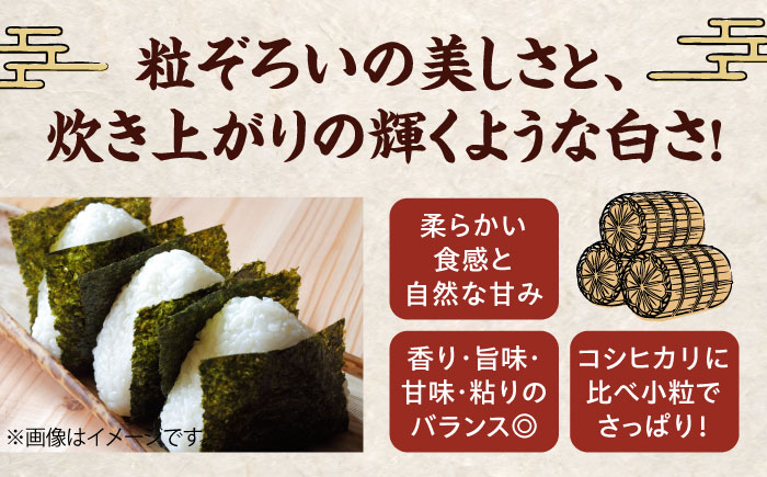 【令和6年産新米】【米食味鑑定士×お米ソムリエ×白米ソムリエ】知識・技術・愛情で育てた あきたこまち10kg（5kg×2袋）　愛媛県大洲市/稲工房案山子 [AGAV003]お米 ご飯 おにぎり ごはん 白米 野菜 和食 おコメ 納豆 日本食 おこめ 国産